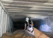 Periksa 200 Ton Biji Kakao, Karantina Kepri : Jamin Tidak Ada OPTK
