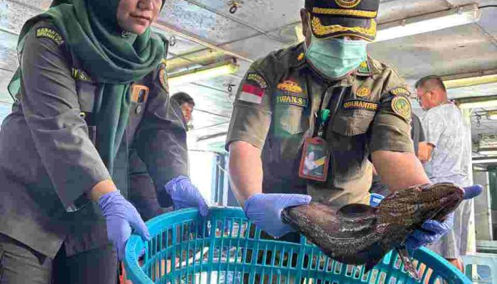 Ekspor Perdana 2026, 8,3 Ton Ikan asal Natuna Tembus ke Hong Kong