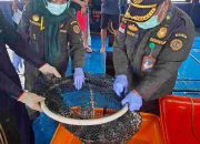 Ekspor Ikan Natuna Tembus 1,2 Miliar Rupiah, Karantina Kepri : Semua Dalam Keadaan Sehat