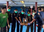 Lolos Pemeriksaan Karantina, 10.362 Ekor Ikan Asal Natuna Diekspor Lagi ke Hongkong