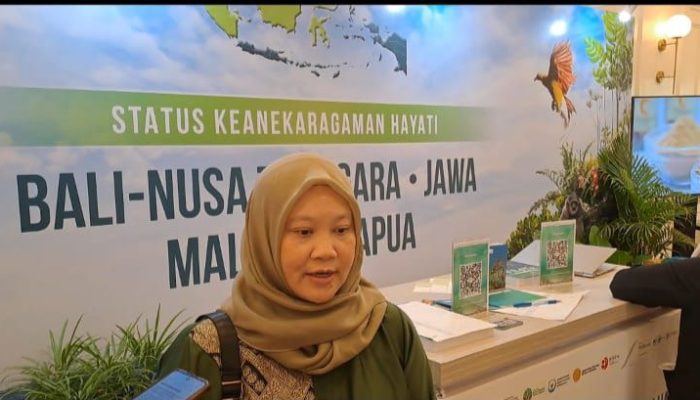 Direktur Eksekutif IBCSD, Dr. Indah Budiani: Jadikan Kekayaan Hayati Indonesia sebagai Fondasi Pembangunan Ekonomi Berkelanjutan dan Berdaya Saing di Tingkat Global.